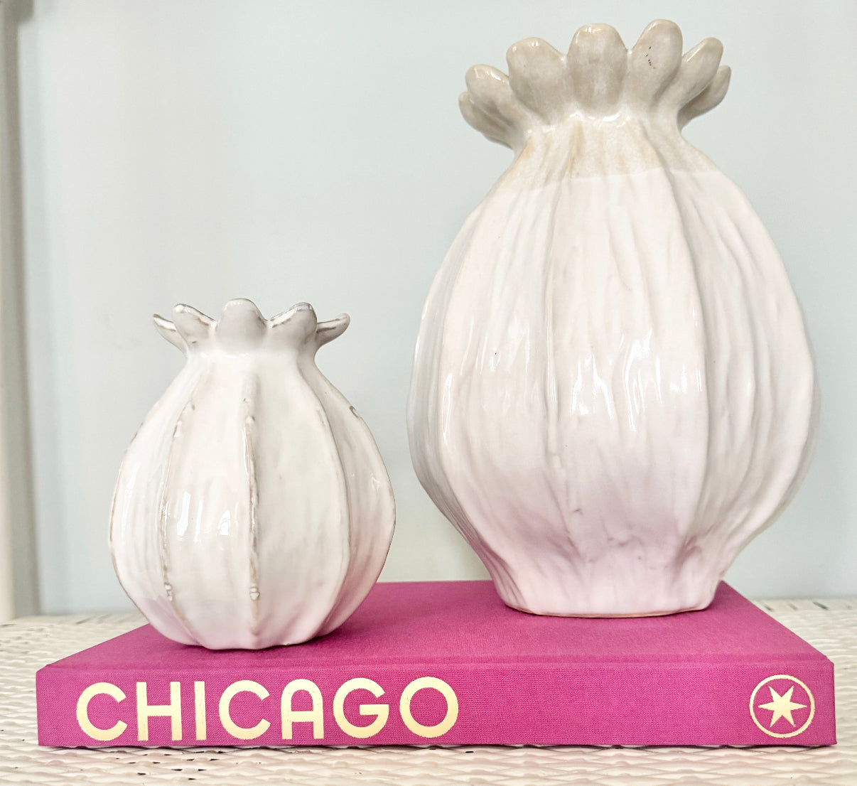Sample Sale - Chicago