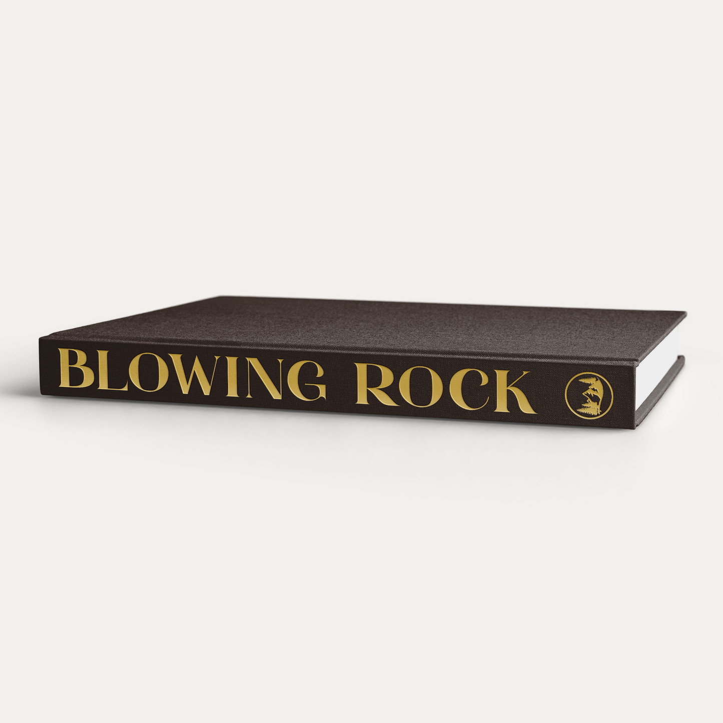 The Blank Book - Blowing Rock