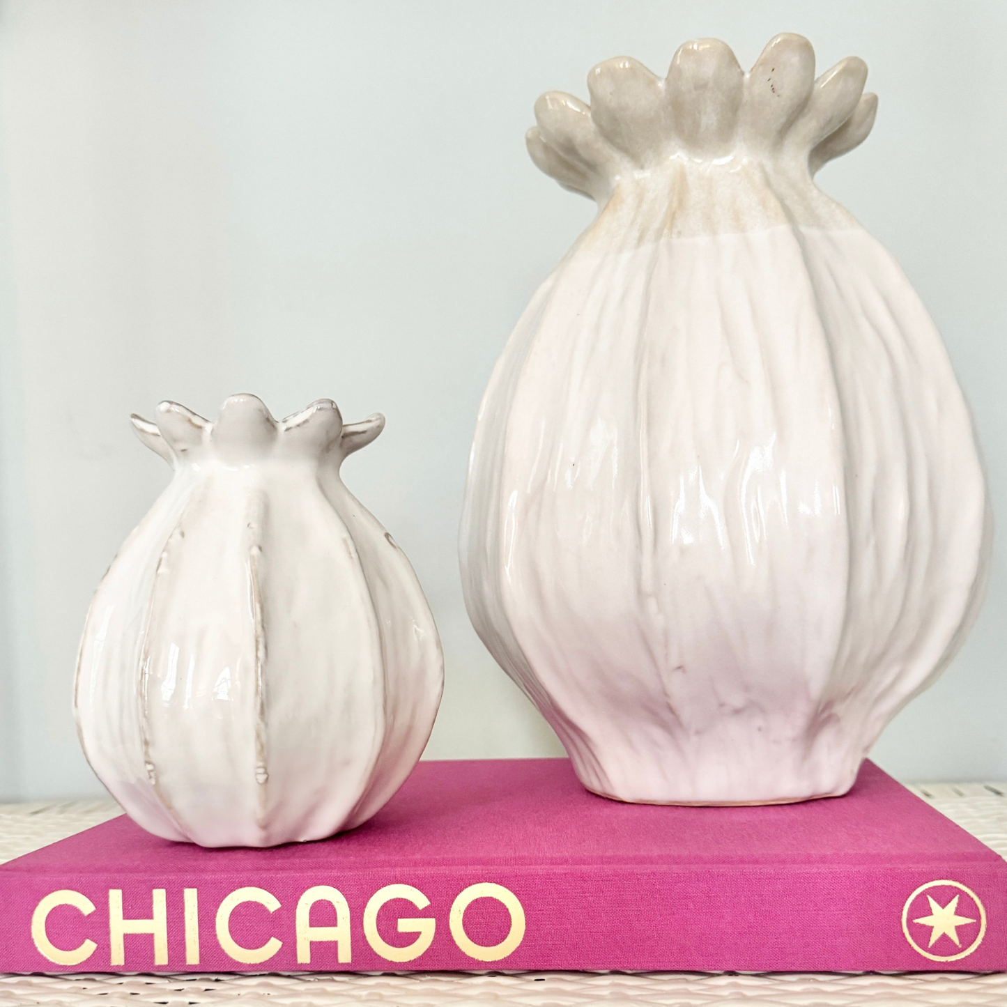 Sample Sale - Chicago