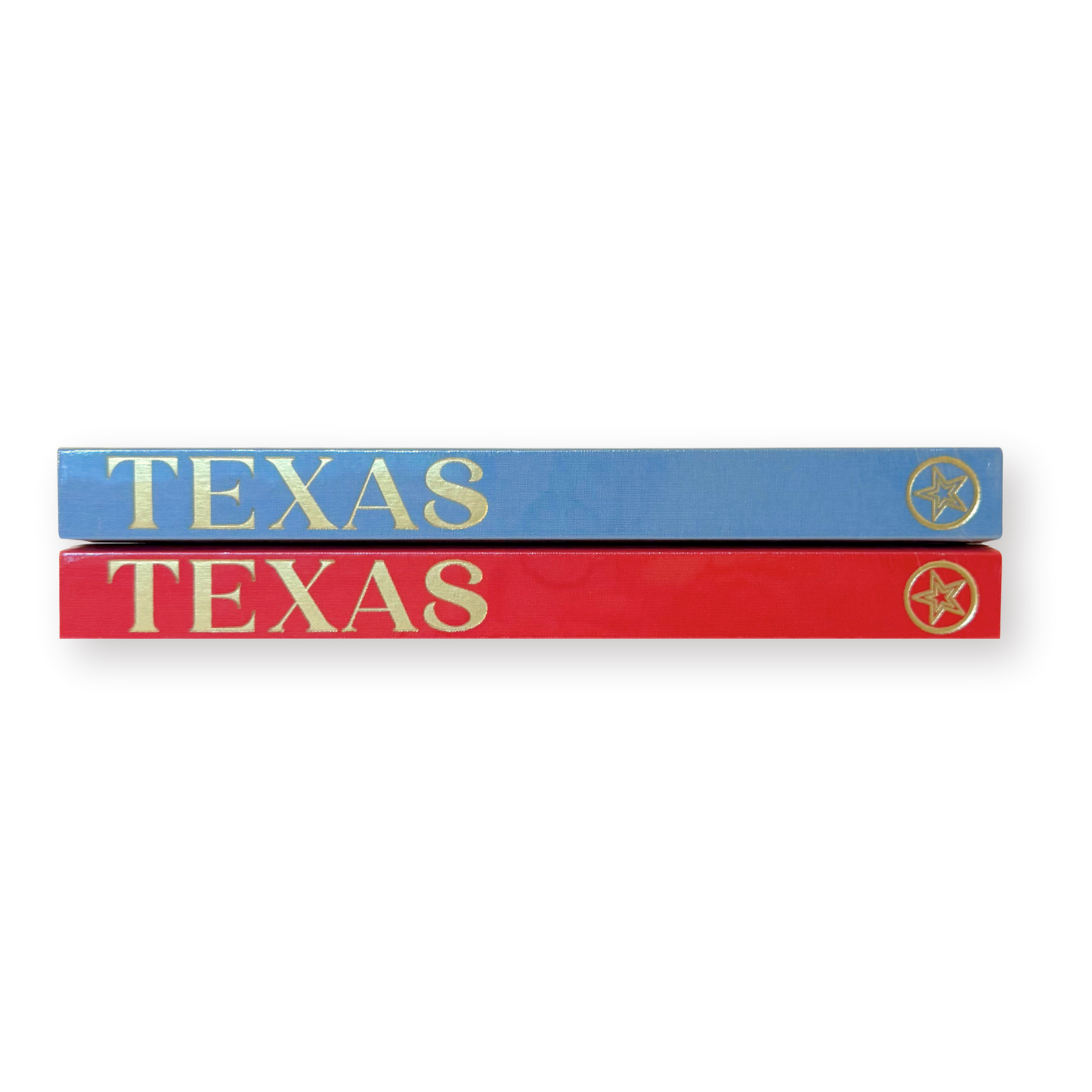 The Blank Book - Texas