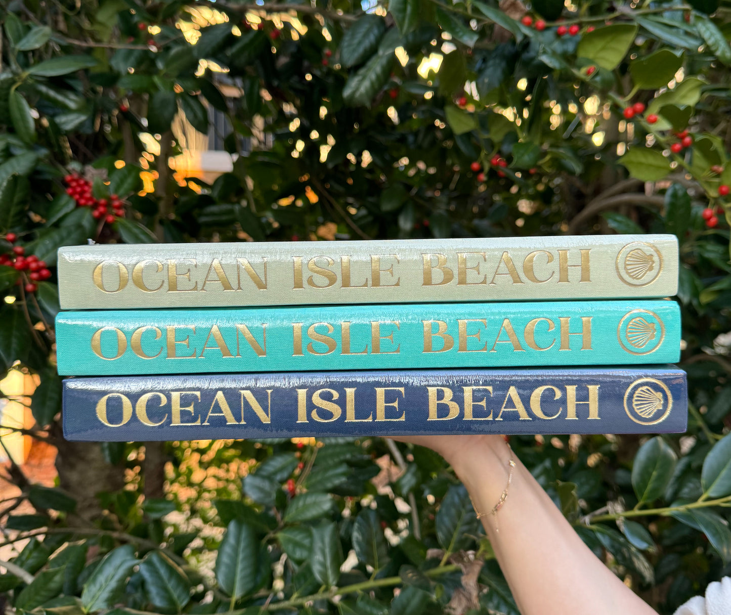 The Blank Book, Ocean Isle Beach