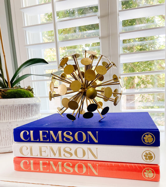 The Blank Book - Clemson