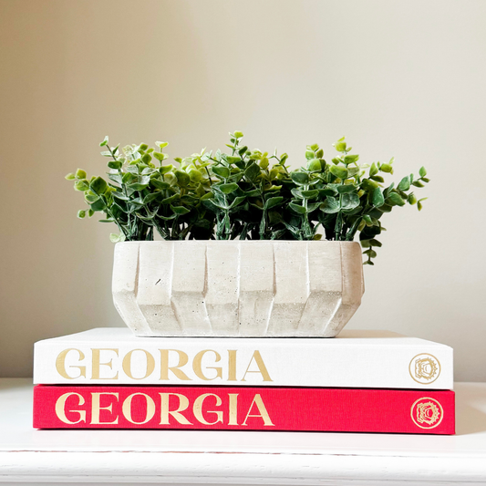 The Blank Book - Georgia