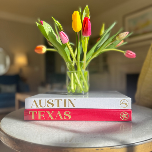 The Blank Book - Texas